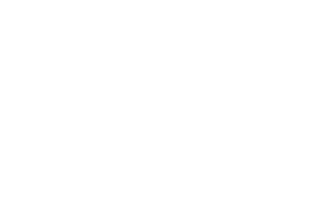 Logo von Born Ermel